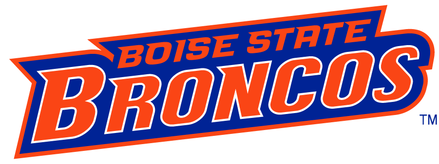 Boise State Broncos 2002-2012 Wordmark Logo v5 diy iron on heat transfer